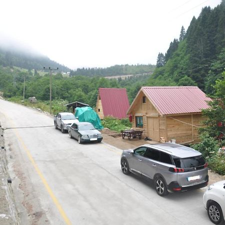 Lorant dağ evleri Otel Çamlıhemşin Dış mekan fotoğraf