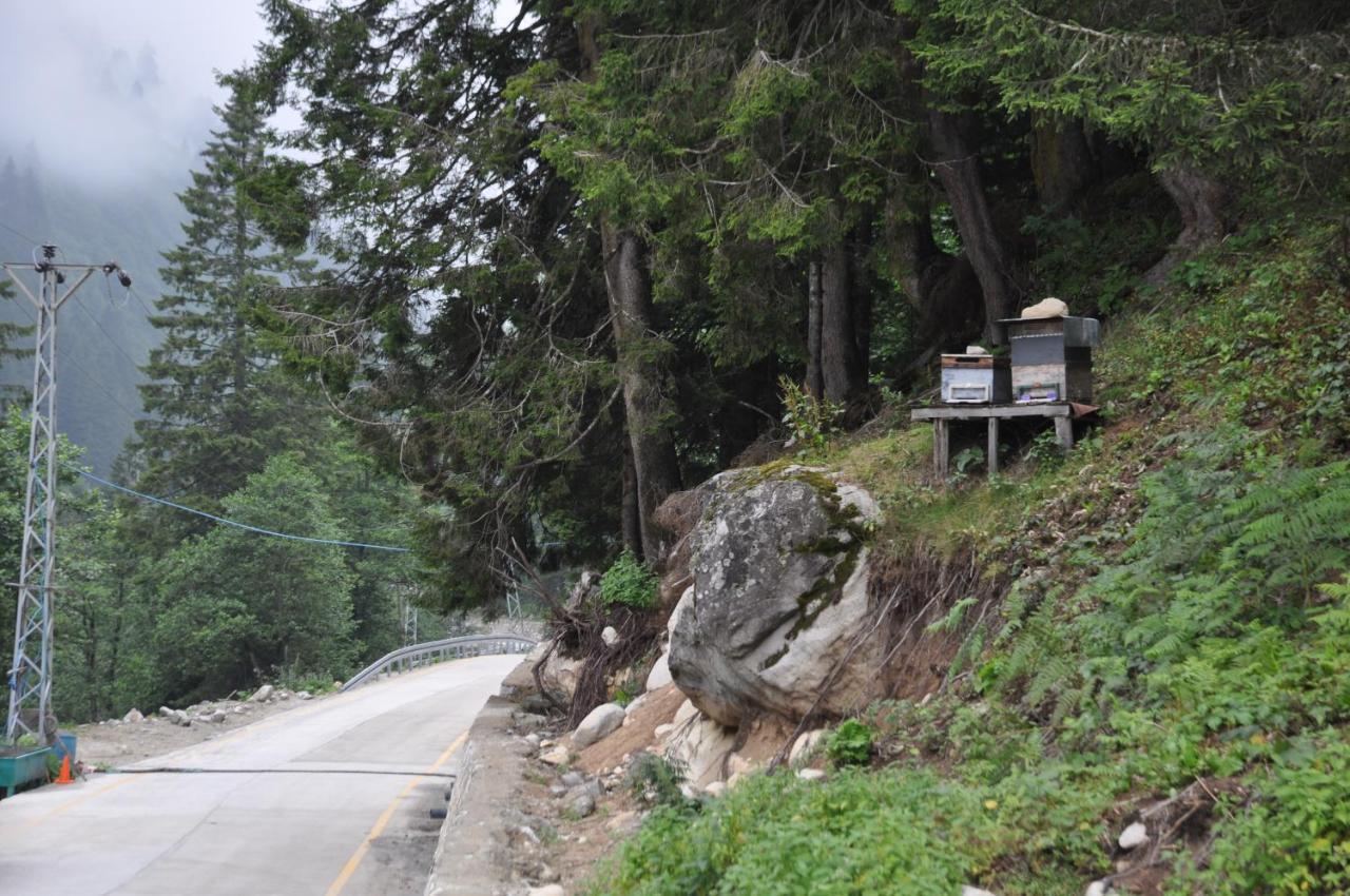 Lorant dağ evleri Otel Çamlıhemşin Dış mekan fotoğraf