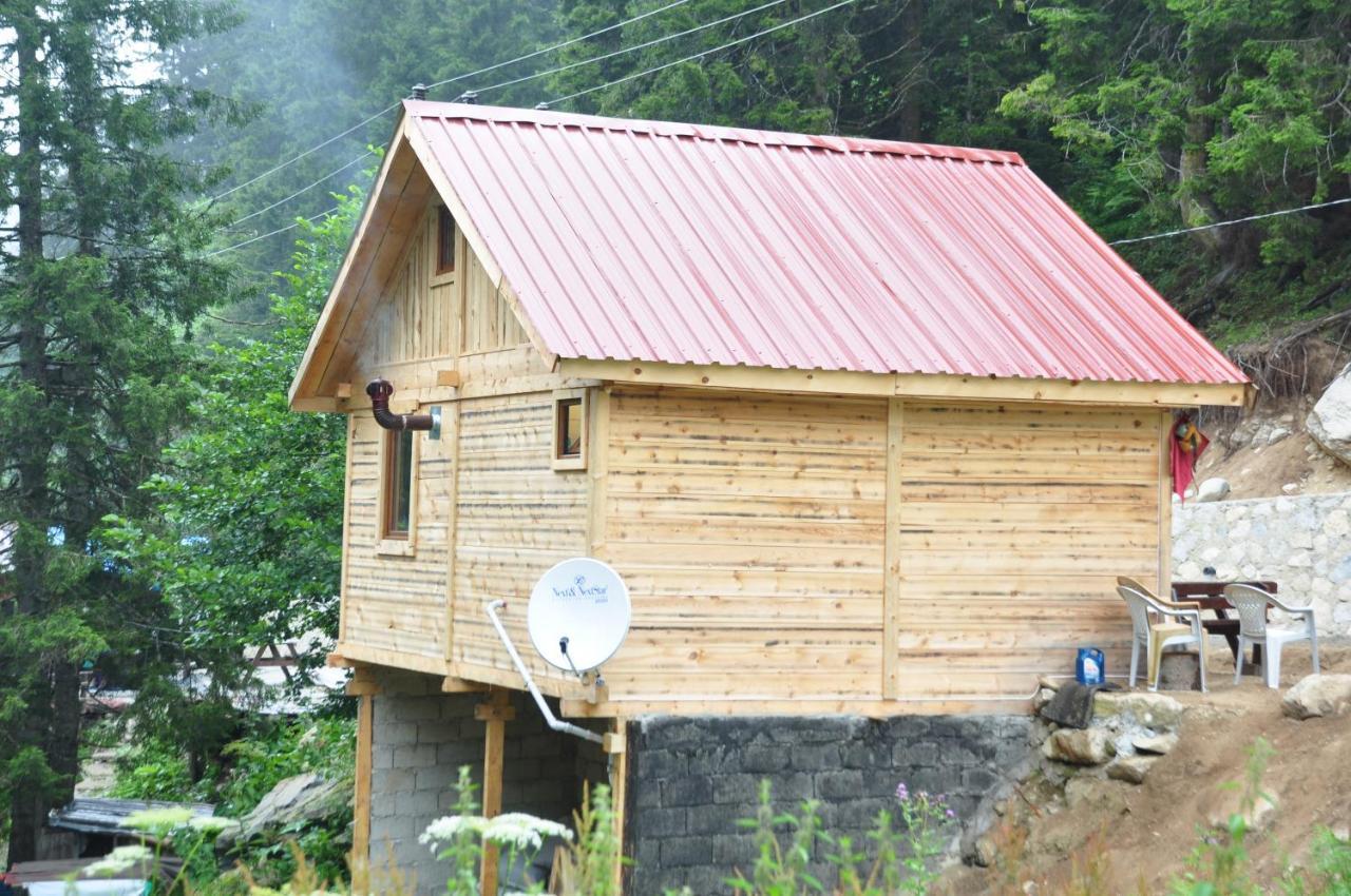 Lorant dağ evleri Otel Çamlıhemşin Dış mekan fotoğraf